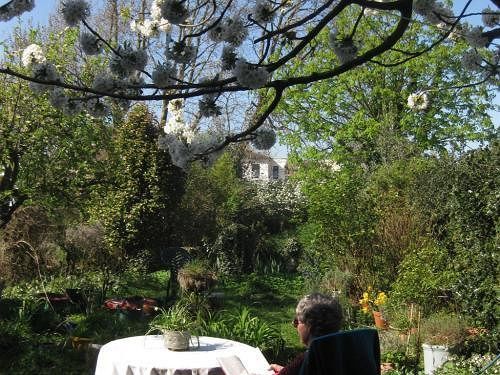 Grove Guest House London Kültér fotó